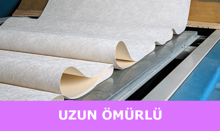 Uzun Ömürlü
