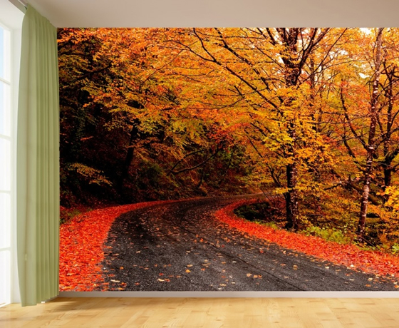 Yol Posterleri